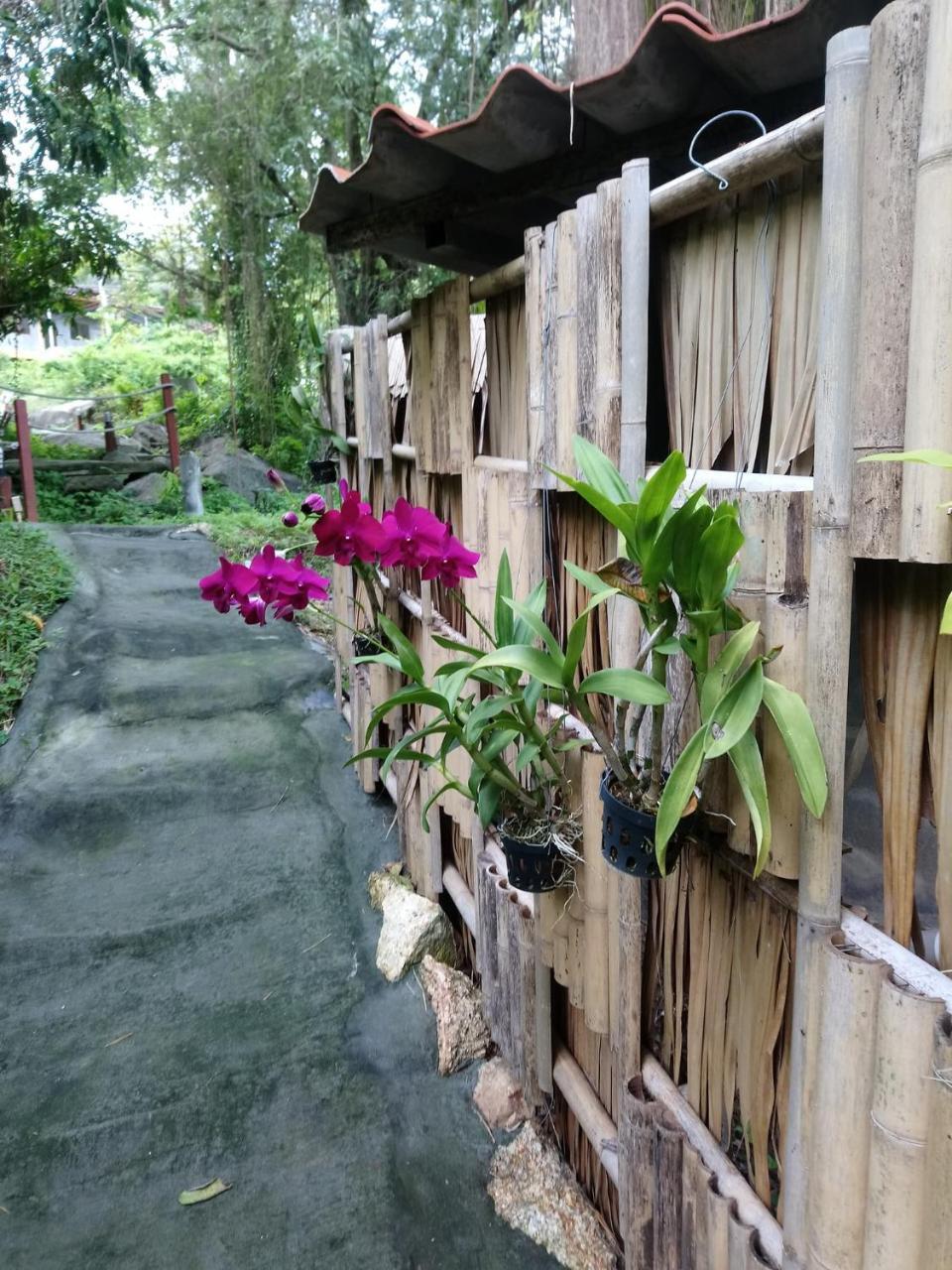 Koh Phangan Pavilions Serviced Apartments Thong Nai Pan Noi Esterno foto